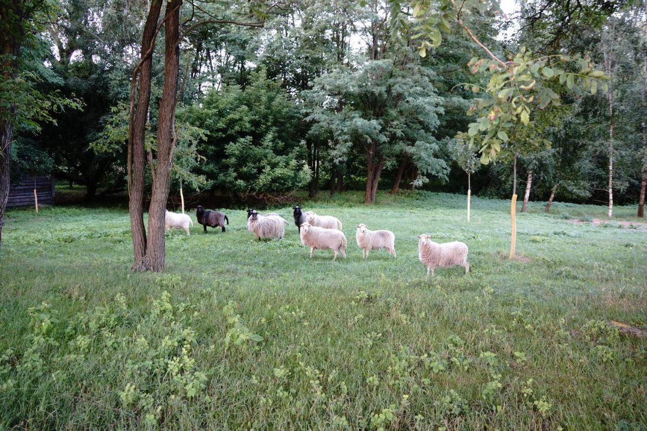 Ferien In Himmelpfort Extérieur photo